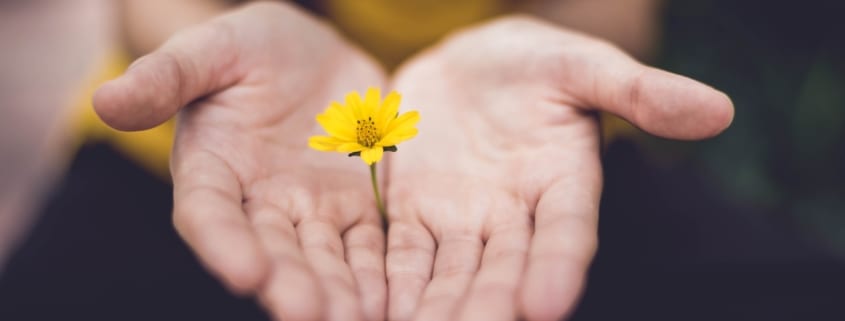 flowers-in-hands